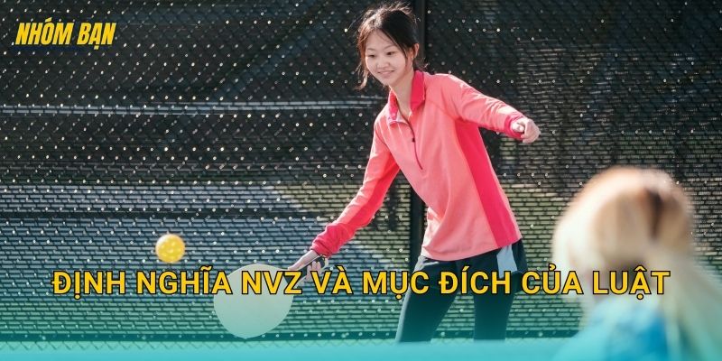 Định nghĩa NVZ và mục đích của luật