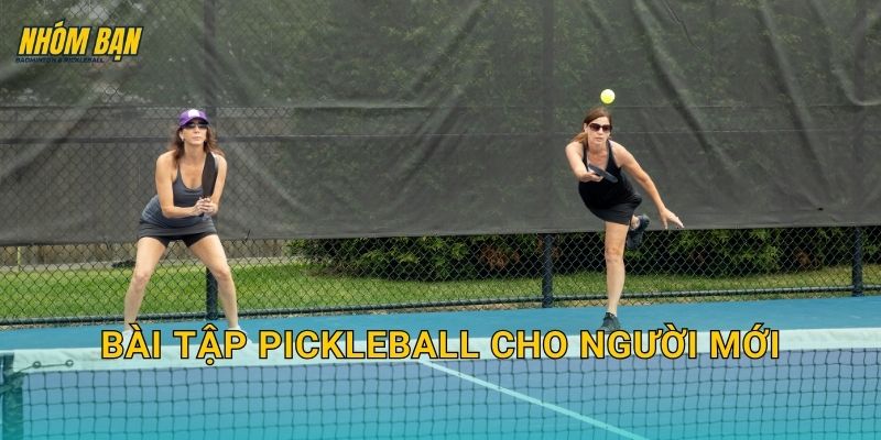 Bài tập pickleball cho người mới: Lộ trình 7–14 ngày để chơi tự tin